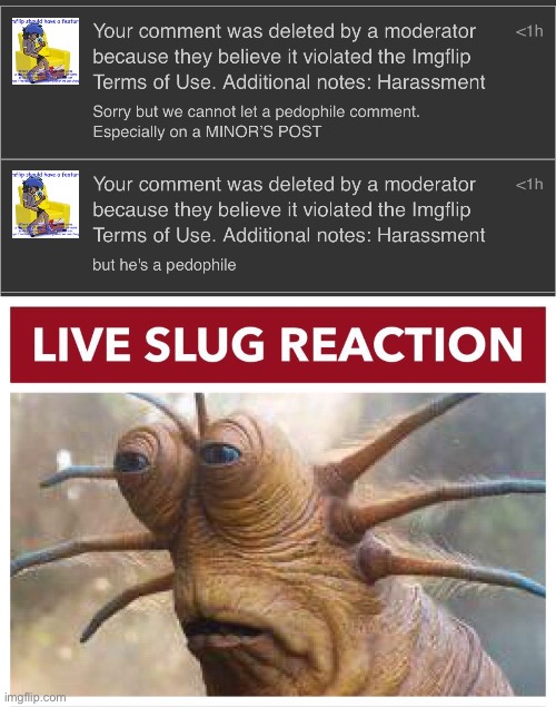 Image tagged in live slug reaction,memes Imgflip