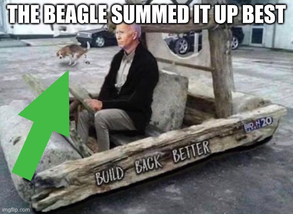 Beagle knows Best | THE BEAGLE SUMMED IT UP BEST | image tagged in bbb,meme,fun,biden | made w/ Imgflip meme maker