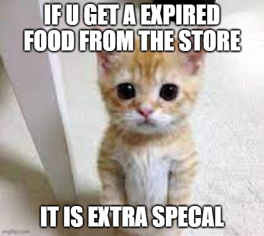 IF U GET A EXPIRED FOOD FROM THE STORE; IT IS EXTRA SPECAL | image tagged in pie charts | made w/ Imgflip meme maker