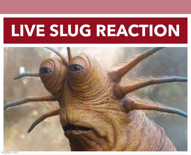 below | image tagged in live slug reaction | made w/ Imgflip meme maker