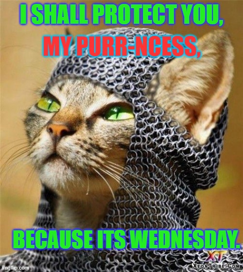 Kitty Knight | I SHALL PROTECT YOU, MY PURR-NCESS, BECAUSE ITS WEDNESDAY. | image tagged in kitty knight | made w/ Imgflip meme maker