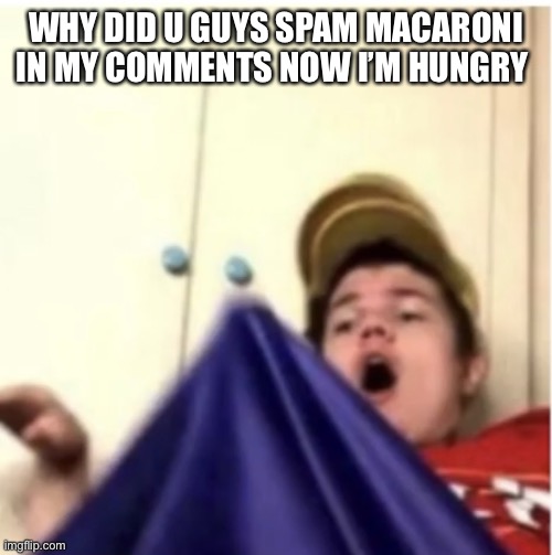 Alfaoxtrot mega boner | WHY DID U GUYS SPAM MACARONI IN MY COMMENTS NOW I’M HUNGRY | image tagged in alfaoxtrot mega boner | made w/ Imgflip meme maker