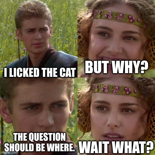 Anakin Padme 4 Panel | BUT WHY? I LICKED THE CAT; THE QUESTION SHOULD BE WHERE. WAIT WHAT? | image tagged in anakin padme 4 panel | made w/ Imgflip meme maker