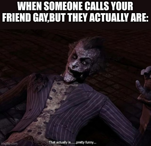That actually is pretty funny | WHEN SOMEONE CALLS YOUR FRIEND GAY,BUT THEY ACTUALLY ARE: | image tagged in that actually is pretty funny | made w/ Imgflip meme maker