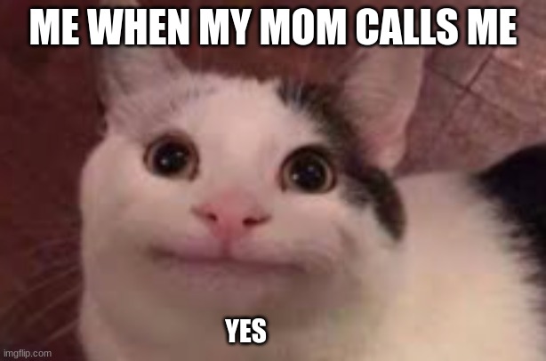 cats | ME WHEN MY MOM CALLS ME; YES | image tagged in happy cat | made w/ Imgflip meme maker