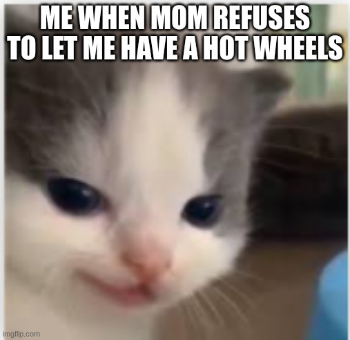cat | ME WHEN MOM REFUSES TO LET ME HAVE A HOT WHEELS | image tagged in hangry | made w/ Imgflip meme maker