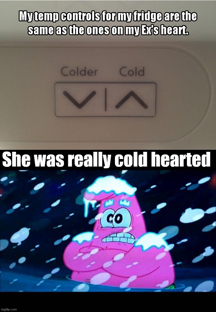 It needs to be even colder. | She was really cold hearted | image tagged in i'm so cold that i'm shivering | made w/ Imgflip meme maker