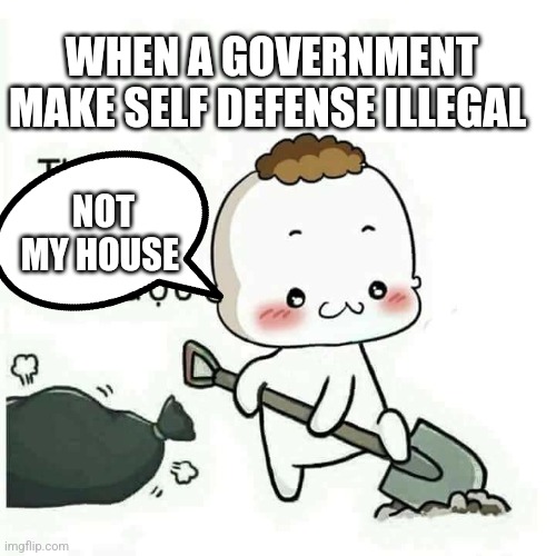 Self defense against intruders and government | WHEN A GOVERNMENT MAKE SELF DEFENSE ILLEGAL; NOT MY HOUSE | image tagged in bury vietnamese | made w/ Imgflip meme maker