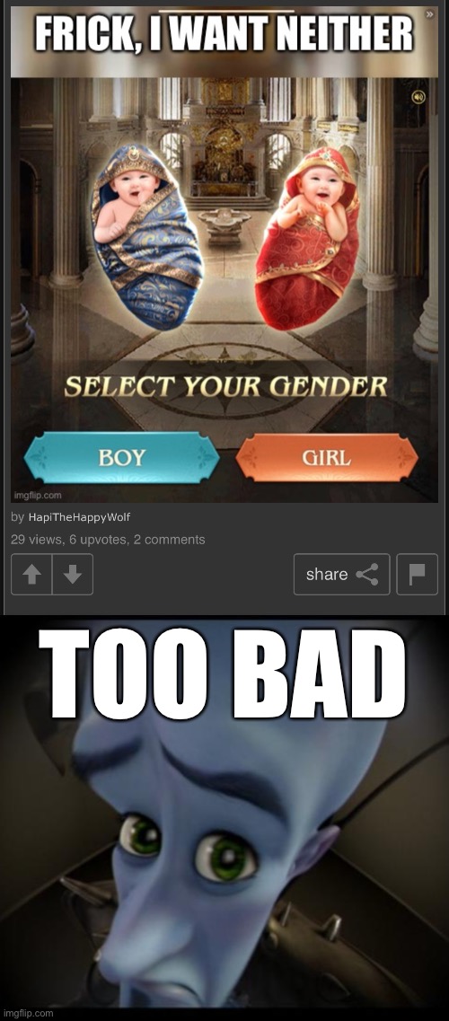 TOO BAD | image tagged in no bitches | made w/ Imgflip meme maker