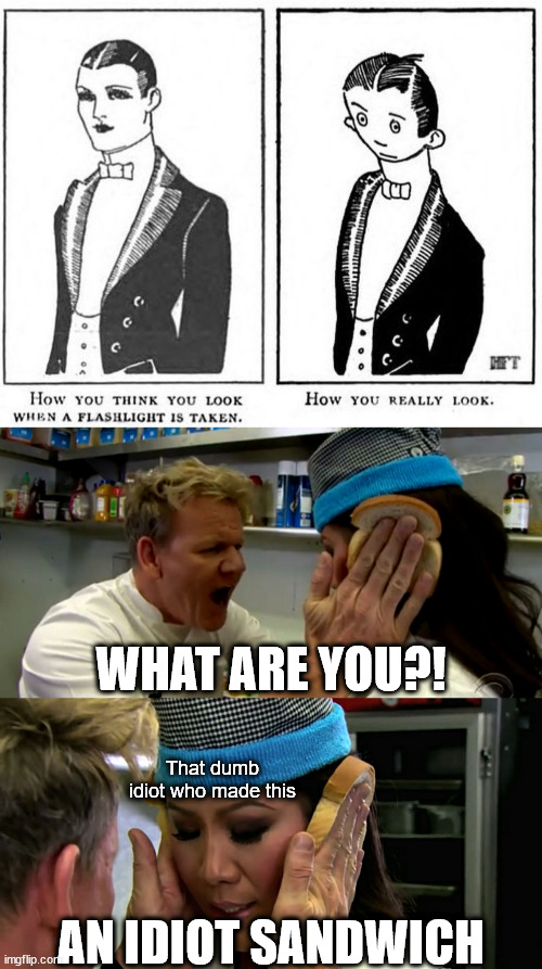 The first meme ever actually is shit. | WHAT ARE YOU?! That dumb idiot who made this; AN IDIOT SANDWICH | image tagged in gordon ramsay idiot sandwich | made w/ Imgflip meme maker