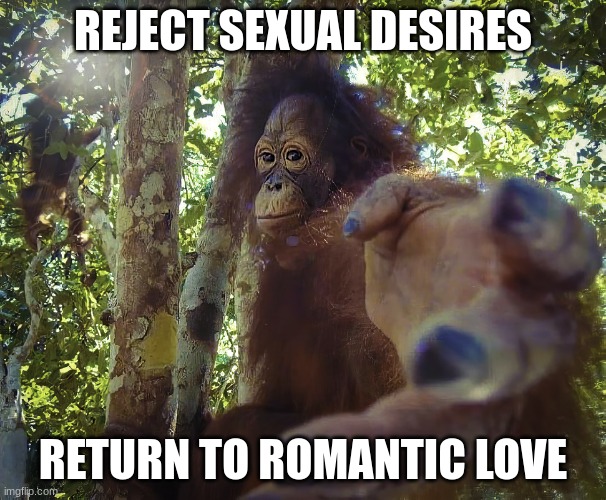 i don't see why this would be disapproved.... just stating my opinion, i hope it can be tolerated. | REJECT SEXUAL DESIRES; RETURN TO ROMANTIC LOVE | image tagged in return to monke clean version | made w/ Imgflip meme maker