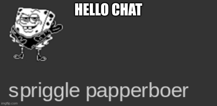 spriggle papperboer | HELLO CHAT | image tagged in spriggle papperboer | made w/ Imgflip meme maker