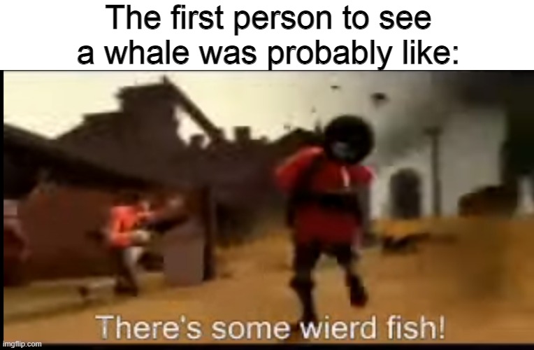 Course, they aren't fish at all... | The first person to see a whale was probably like: | image tagged in team fortress 2,whale,whales,memes | made w/ Imgflip meme maker