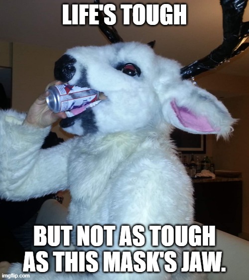 Damn xD (Fursuiter is Falada) | LIFE'S TOUGH; BUT NOT AS TOUGH AS THIS MASK'S JAW. | image tagged in fursuit,memes,funny,furry,beer | made w/ Imgflip meme maker
