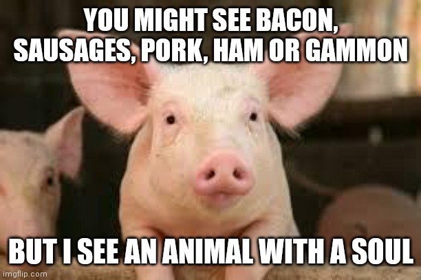 I hope this puts you off bacon | YOU MIGHT SEE BACON, SAUSAGES, PORK, HAM OR GAMMON; BUT I SEE AN ANIMAL WITH A SOUL | image tagged in pig,memes,vegetarian,vegan | made w/ Imgflip meme maker