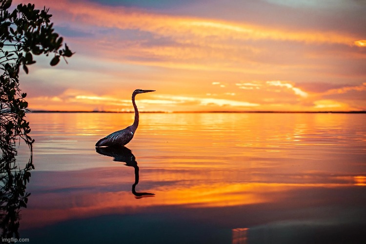 image tagged in awesome | made w/ Imgflip meme maker