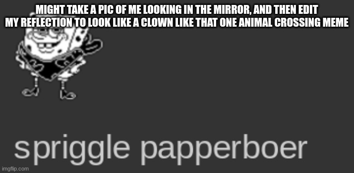 spriggle papperboer | MIGHT TAKE A PIC OF ME LOOKING IN THE MIRROR, AND THEN EDIT MY REFLECTION TO LOOK LIKE A CLOWN LIKE THAT ONE ANIMAL CROSSING MEME | image tagged in spriggle papperboer | made w/ Imgflip meme maker