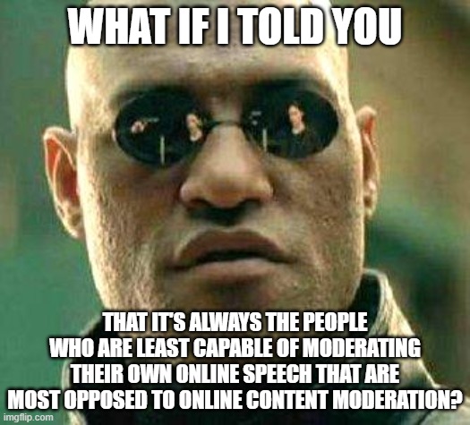 Your Inability To Moderate Your Own Online Speech Makes Content Moderation Necessary | WHAT IF I TOLD YOU; THAT IT'S ALWAYS THE PEOPLE WHO ARE LEAST CAPABLE OF MODERATING THEIR OWN ONLINE SPEECH THAT ARE MOST OPPOSED TO ONLINE CONTENT MODERATION? | image tagged in what if i told you,moderation system,imgflip mods,free speech,responsibility,neckbeard libertarian | made w/ Imgflip meme maker