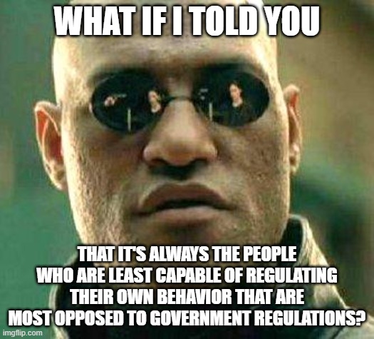 Your Inability To Regulate Your Own Behavior Makes Government Regulation Necessary | WHAT IF I TOLD YOU; THAT IT'S ALWAYS THE PEOPLE WHO ARE LEAST CAPABLE OF REGULATING THEIR OWN BEHAVIOR THAT ARE MOST OPPOSED TO GOVERNMENT REGULATIONS? | image tagged in what if i told you,government,us government,big government,behavior,neckbeard libertarian | made w/ Imgflip meme maker