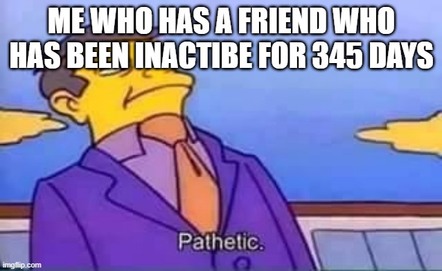 skinner pathetic | ME WHO HAS A FRIEND WHO HAS BEEN INACTIBE FOR 345 DAYS | image tagged in skinner pathetic | made w/ Imgflip meme maker