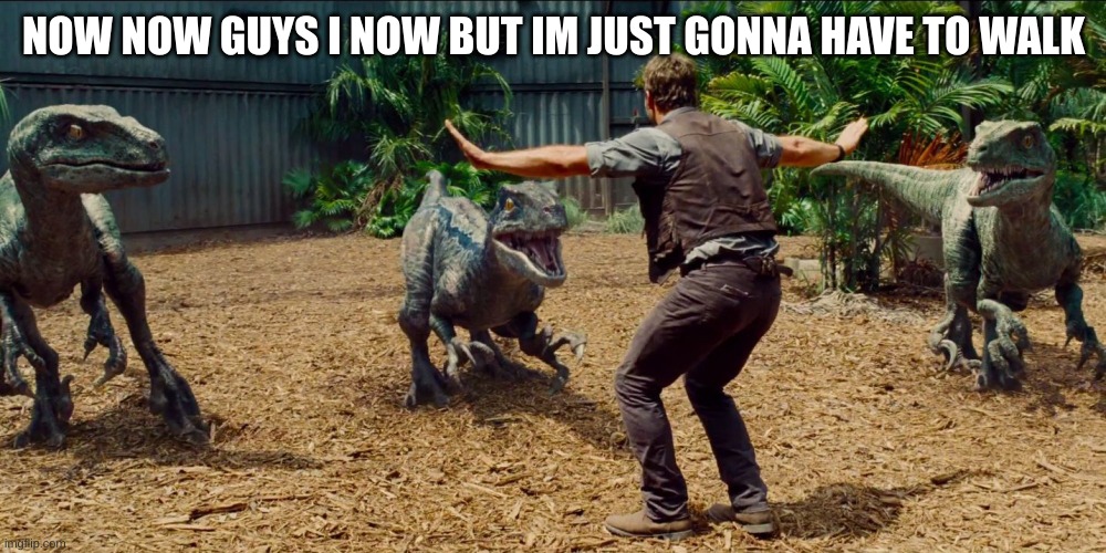 Jurassic park raptor | NOW NOW GUYS I NOW BUT IM JUST GONNA HAVE TO WALK | image tagged in jurassic park raptor | made w/ Imgflip meme maker