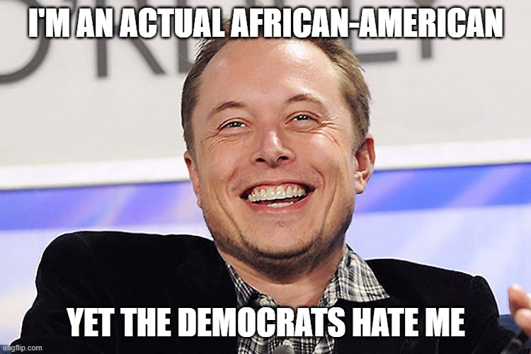 Elon musk | I'M AN ACTUAL AFRICAN-AMERICAN; YET THE DEMOCRATS HATE ME | image tagged in elon musk | made w/ Imgflip meme maker