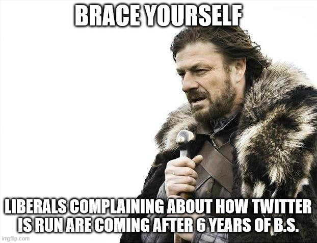 oh how the turntables | BRACE YOURSELF; LIBERALS COMPLAINING ABOUT HOW TWITTER IS RUN ARE COMING AFTER 6 YEARS OF B.S. | image tagged in memes,brace yourselves x is coming,twitter,elon musk,current events | made w/ Imgflip meme maker