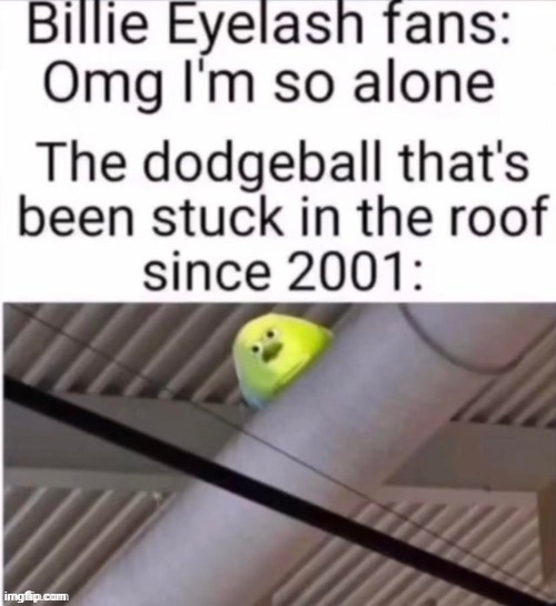 re-shitposting | made w/ Imgflip meme maker