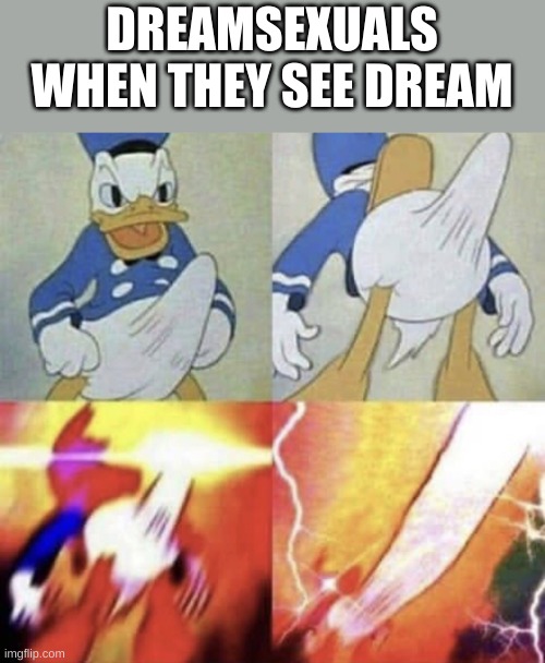 Donald Duck erection | DREAMSEXUALS WHEN THEY SEE DREAM | image tagged in donald duck erection | made w/ Imgflip meme maker