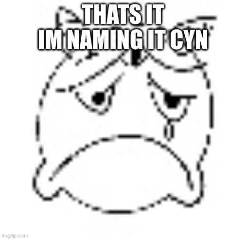 zad | THATS IT
IM NAMING IT CYN | image tagged in zad | made w/ Imgflip meme maker