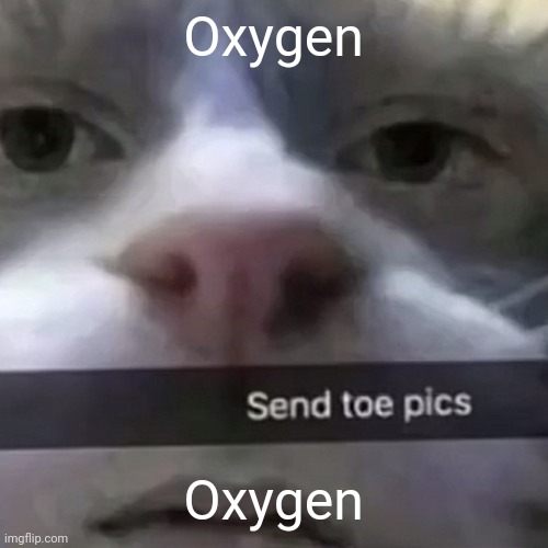 Oxygen | Oxygen; Oxygen | image tagged in kat | made w/ Imgflip meme maker