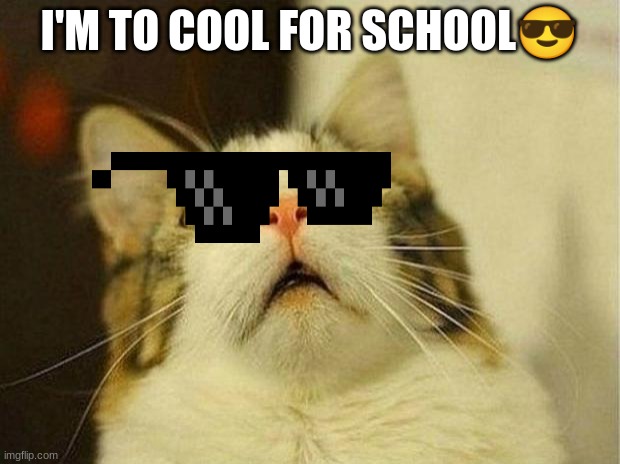 haha | I'M TO COOL FOR SCHOOL😎 | image tagged in memes,scared cat | made w/ Imgflip meme maker