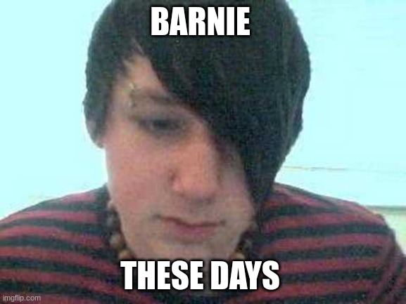 barnie theses days | BARNIE; THESE DAYS | image tagged in emo kid | made w/ Imgflip meme maker