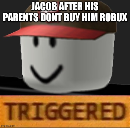 Roblox Triggered | JACOB AFTER HIS PARENTS DONT BUY HIM ROBUX | image tagged in roblox triggered | made w/ Imgflip meme maker