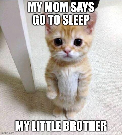Cute Cat Meme | MY MOM SAYS GO TO SLEEP; MY LITTLE BROTHER | image tagged in memes,cute cat | made w/ Imgflip meme maker