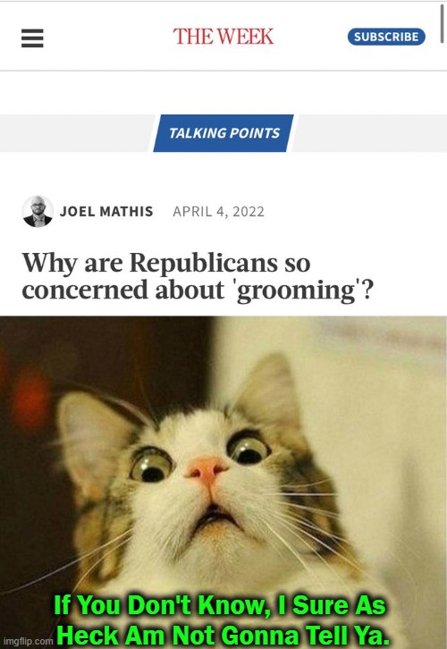 Even Cats Know It Is PERVERSION! | If You Don't Know, I Sure As 
Heck Am Not Gonna Tell Ya. | image tagged in scared cat,politics,grooming,children,perversion to mess with innocent children,liberalism | made w/ Imgflip meme maker