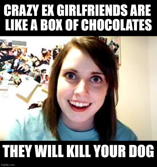 CRAZY EX GIRLFRIENDS ARE 
LIKE A BOX OF CHOCOLATES; THEY WILL KILL YOUR DOG | image tagged in black background,crazy ex girlfriend,dark humor | made w/ Imgflip meme maker