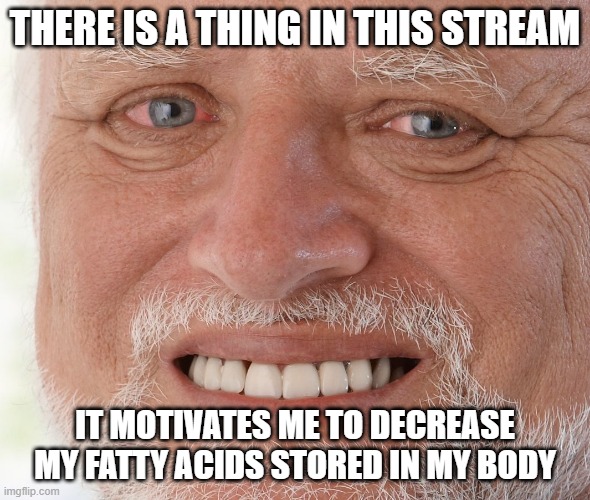 i wanna be just like these guys  ಥ﹏ಥ cuz they kinda attractive | THERE IS A THING IN THIS STREAM; IT MOTIVATES ME TO DECREASE MY FATTY ACIDS STORED IN MY BODY | image tagged in hide the pain harold,pain | made w/ Imgflip meme maker