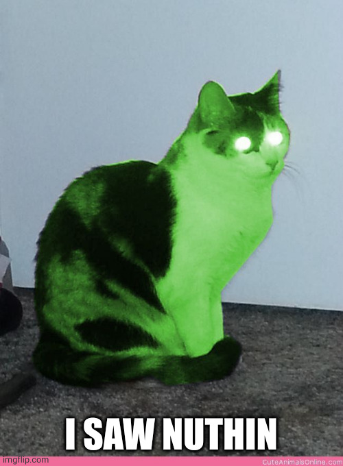 Hypno Raycat | I SAW NUTHIN | image tagged in hypno raycat | made w/ Imgflip meme maker