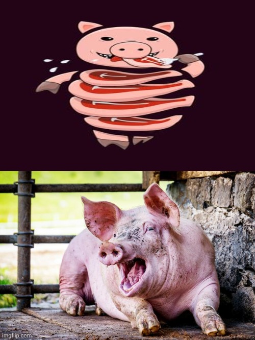Pig cannibalism | image tagged in laughing pig,pig,dark humor,memes,cannibalism,meat | made w/ Imgflip meme maker