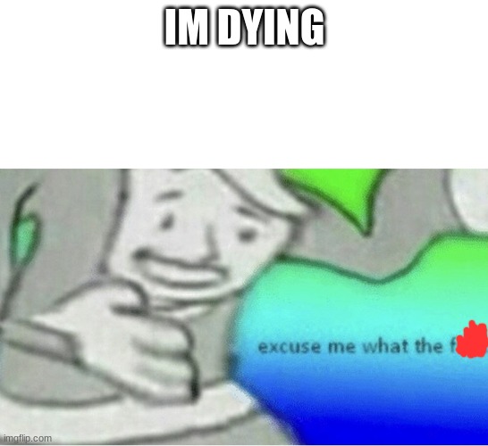 Excuse me wtf blank template | IM DYING | image tagged in excuse me wtf blank template | made w/ Imgflip meme maker