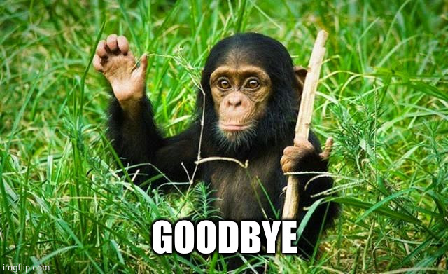 goodbye | GOODBYE | image tagged in goodbye | made w/ Imgflip meme maker