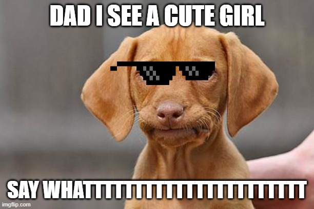 secret life of pets be like | DAD I SEE A CUTE GIRL; SAY WHATTTTTTTTTTTTTTTTTTTTTT | image tagged in dissapointed puppy | made w/ Imgflip meme maker