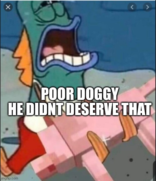 Poor doggy woggy ? | POOR DOGGY HE DIDNT DESERVE THAT | image tagged in poor doggy woggy | made w/ Imgflip meme maker
