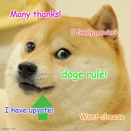 Doge Meme | Many thanks! I finally popular? doge rule! I have upvote! Want cheese | image tagged in memes,doge | made w/ Imgflip meme maker
