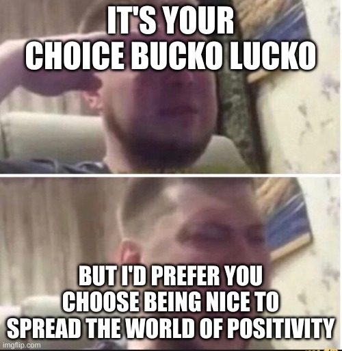 Crying salute | IT'S YOUR CHOICE BUCKO LUCKO BUT I'D PREFER YOU CHOOSE BEING NICE TO SPREAD THE WORLD OF POSITIVITY | image tagged in crying salute | made w/ Imgflip meme maker