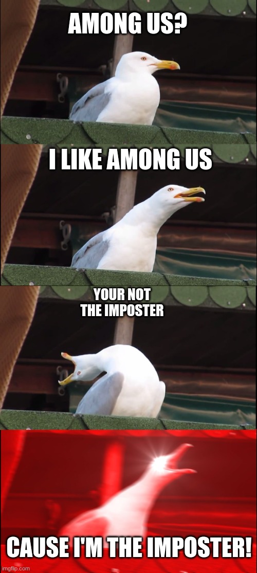 among us | AMONG US? I LIKE AMONG US; YOUR NOT THE IMPOSTER; CAUSE I'M THE IMPOSTER! | image tagged in memes,inhaling seagull | made w/ Imgflip meme maker