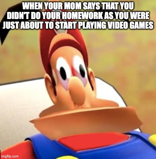What mario | WHEN YOUR MOM SAYS THAT YOU DIDN'T DO YOUR HOMEWORK AS YOU WERE JUST ABOUT TO START PLAYING VIDEO GAMES | image tagged in what mario | made w/ Imgflip meme maker