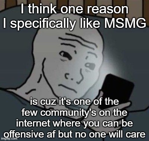 I mean yes OP will ban you if you say shit about D*nny, but thats OP, not MSMG yk- | I think one reason I specifically like MSMG; is cuz it's one of the few community's on the internet where you can be offensive af but no one will care | image tagged in why | made w/ Imgflip meme maker