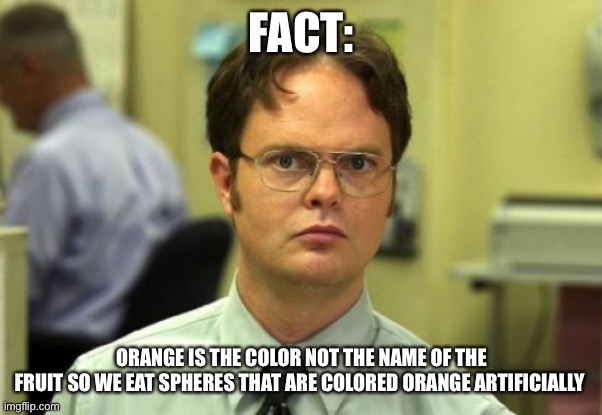 Orange is not the name | FACT:; ORANGE IS THE COLOR NOT THE NAME OF THE
FRUIT SO WE EAT SPHERES THAT ARE COLORED ORANGE ARTIFICIALLY | image tagged in memes,dwight schrute | made w/ Imgflip meme maker
